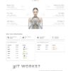Premium GC HYIP Template 37