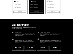 Unique HYIP Template 16